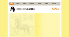 Desktop Screenshot of jezdzieckieakcesoria.pl